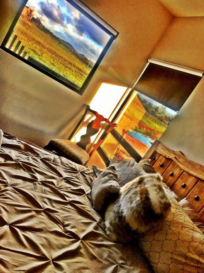 Finca Vidandrei Casa Mazahua Valle de Guadalupe Extérieur photo